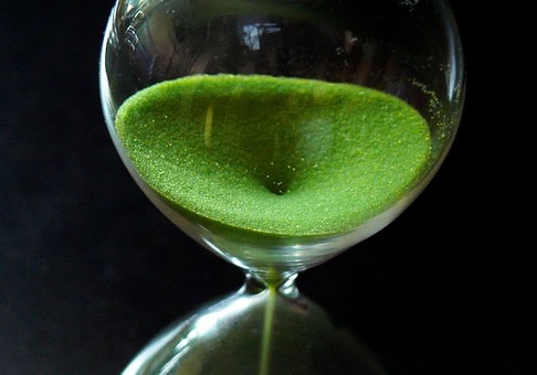 Rubrik_Naturschutz_Biodiv_-pixabay_-_SANDUHR_temporal-distance-917364__340